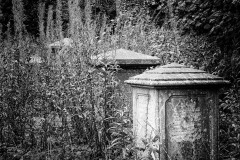 Gravestones, Birdcage walk, Bristol