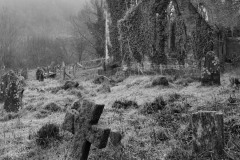 St. Marys, Tintern
