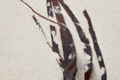AGP_GP_3879