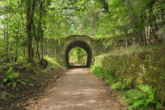 Trafalgar Mine Bridge