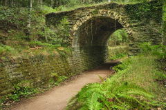 Trafalgar Mine Bridge