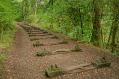 The Iron Road