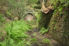 Moseley Green tunnel
