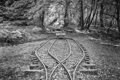 Lea Bailey narrow-gauge railway