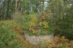 New Fancy Chimney
