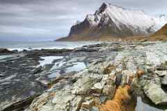 Rock pools and Seaweed