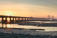 Severn Gold