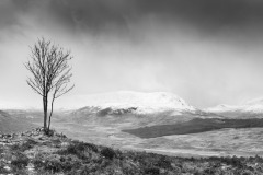Scotland