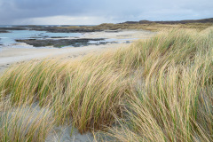 Sanna Bay No. 1