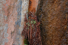 Dry and Wet