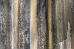 Silver stripes. No. 1