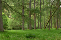 AGP23-0443_Panorama