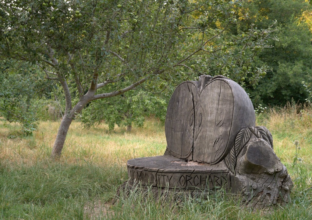 Apple bench