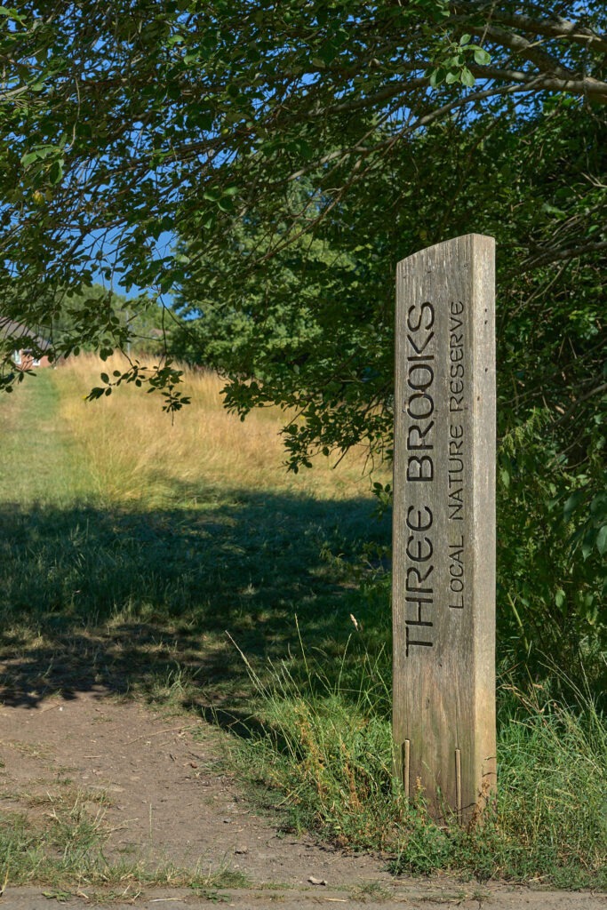 Three Brooks Nature Reserve