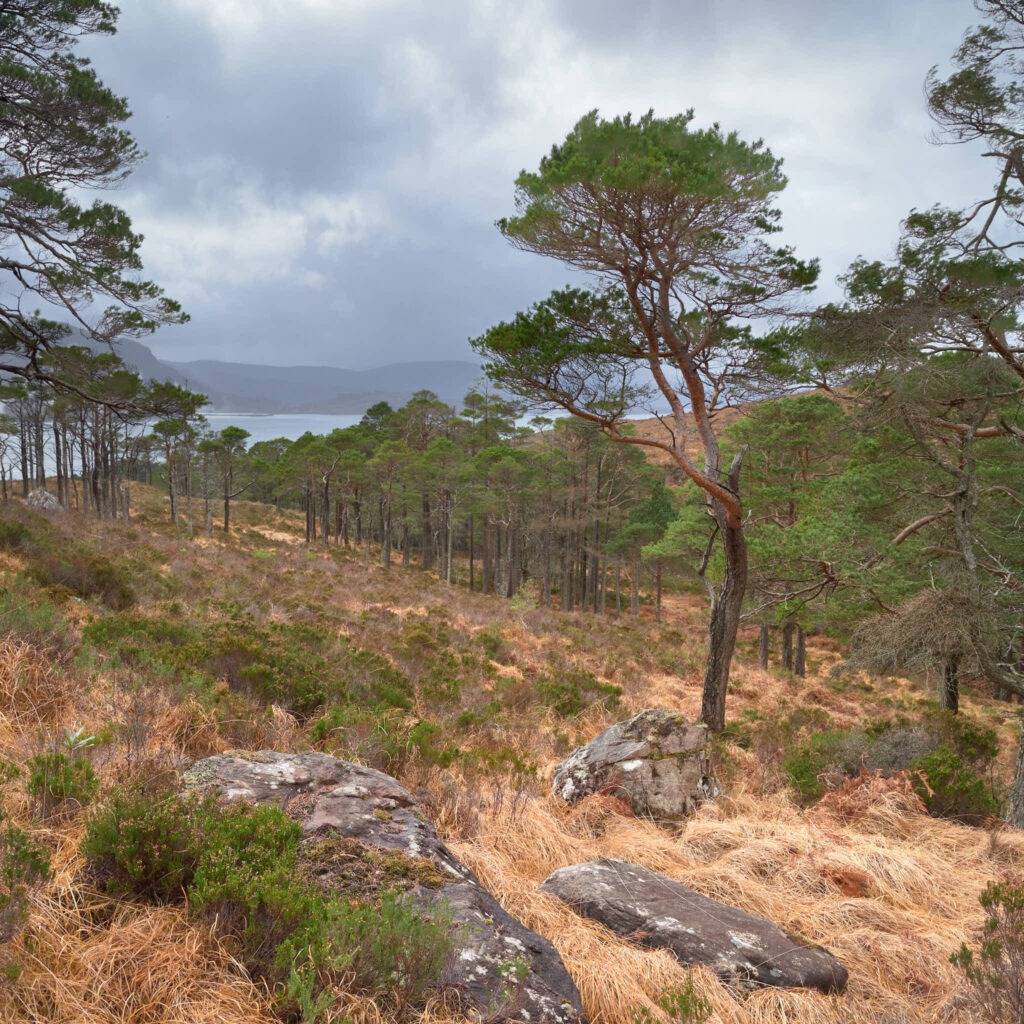 Windy, Torridon