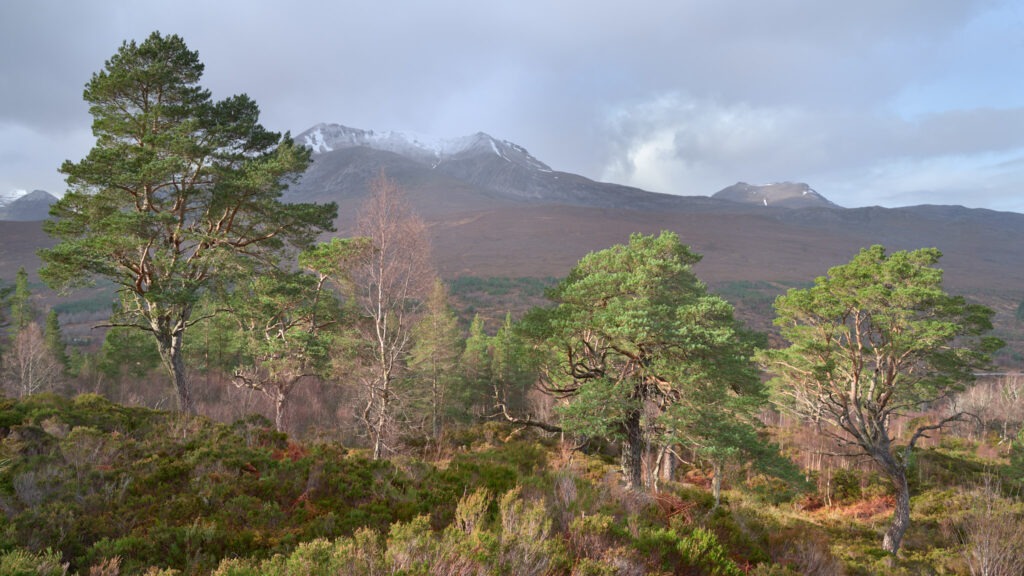 Spidean Coire nan Clach