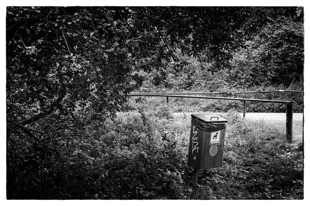 Near Savages Wood Road