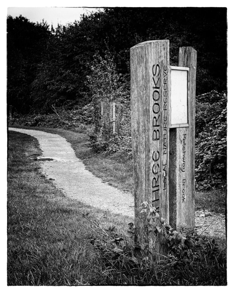 Three Brooks Nature Reserve