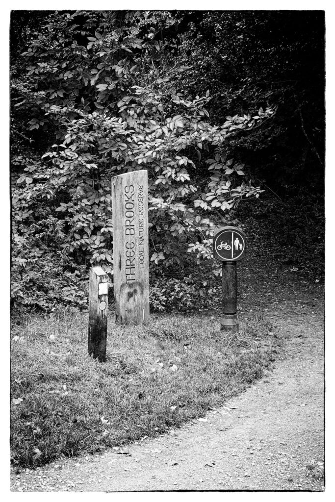 Three Brooks Nature Reserve