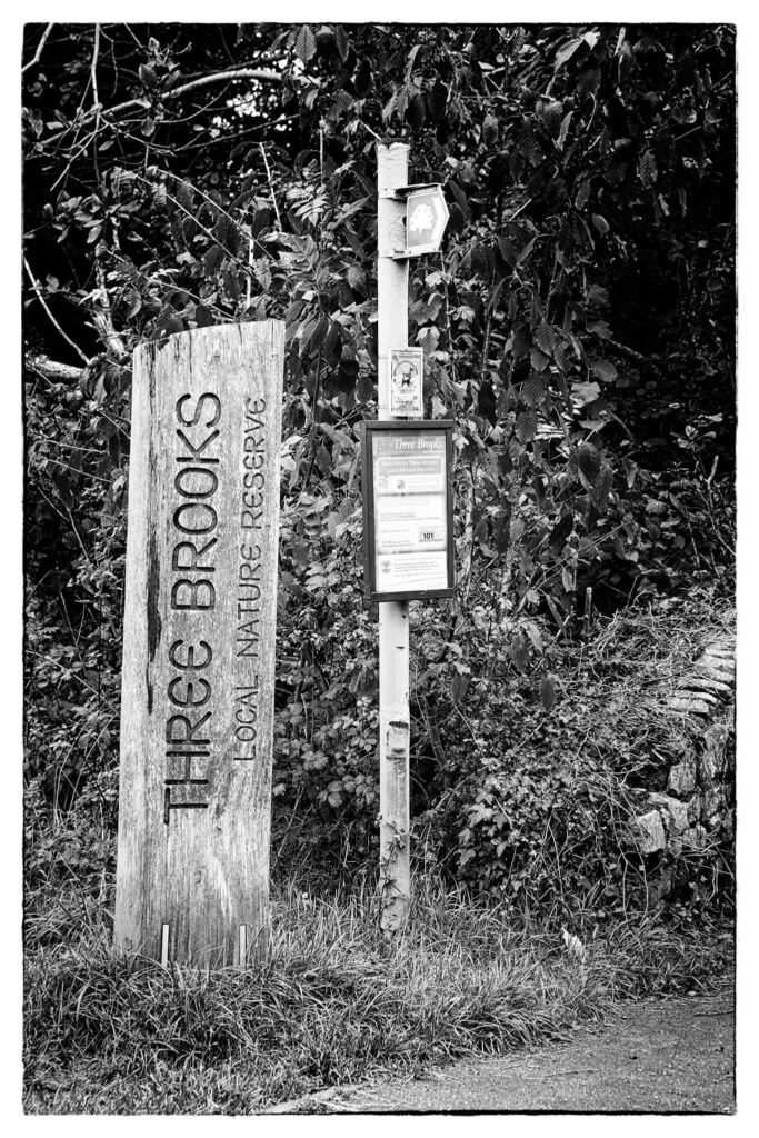Three Brooks Nature Reserve