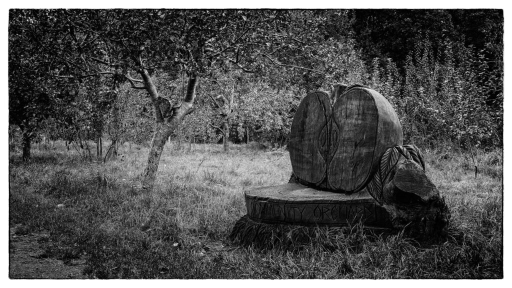 Three Brooks Nature Reserve