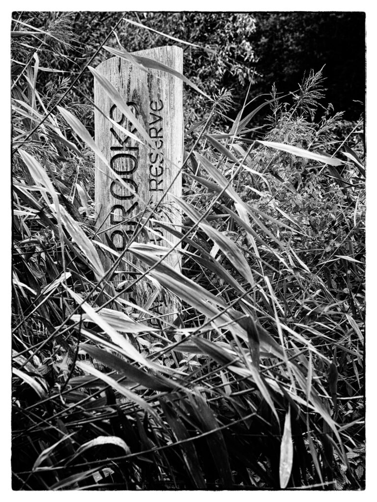 Three Brooks Nature Reserve