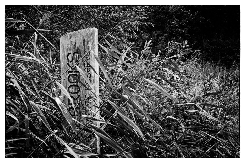 Three Brooks Nature Reserve