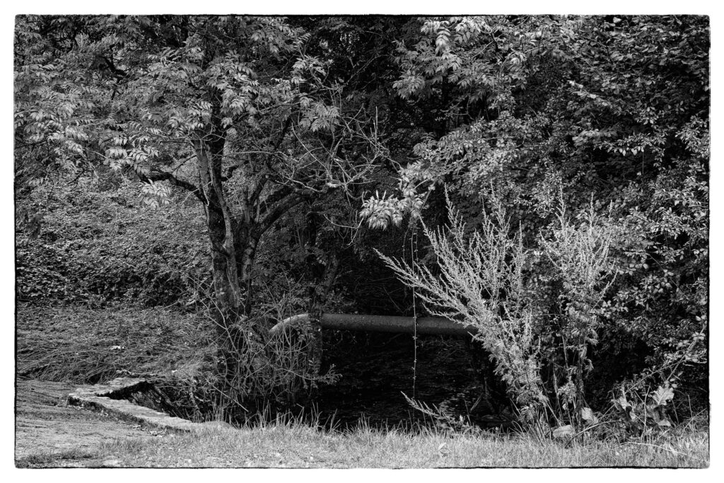 Three Brooks Nature Reserve