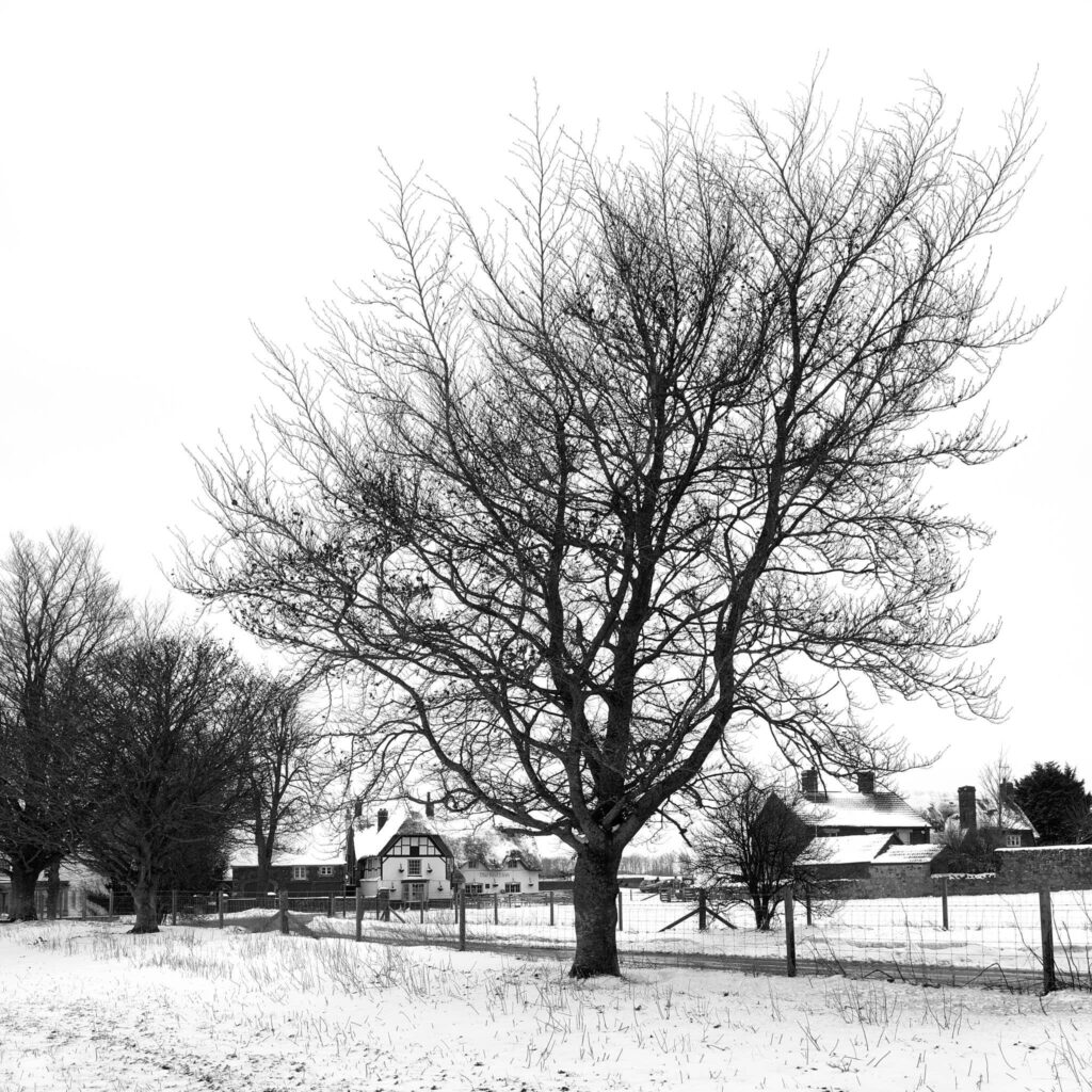 Red Lion pub, Avebury