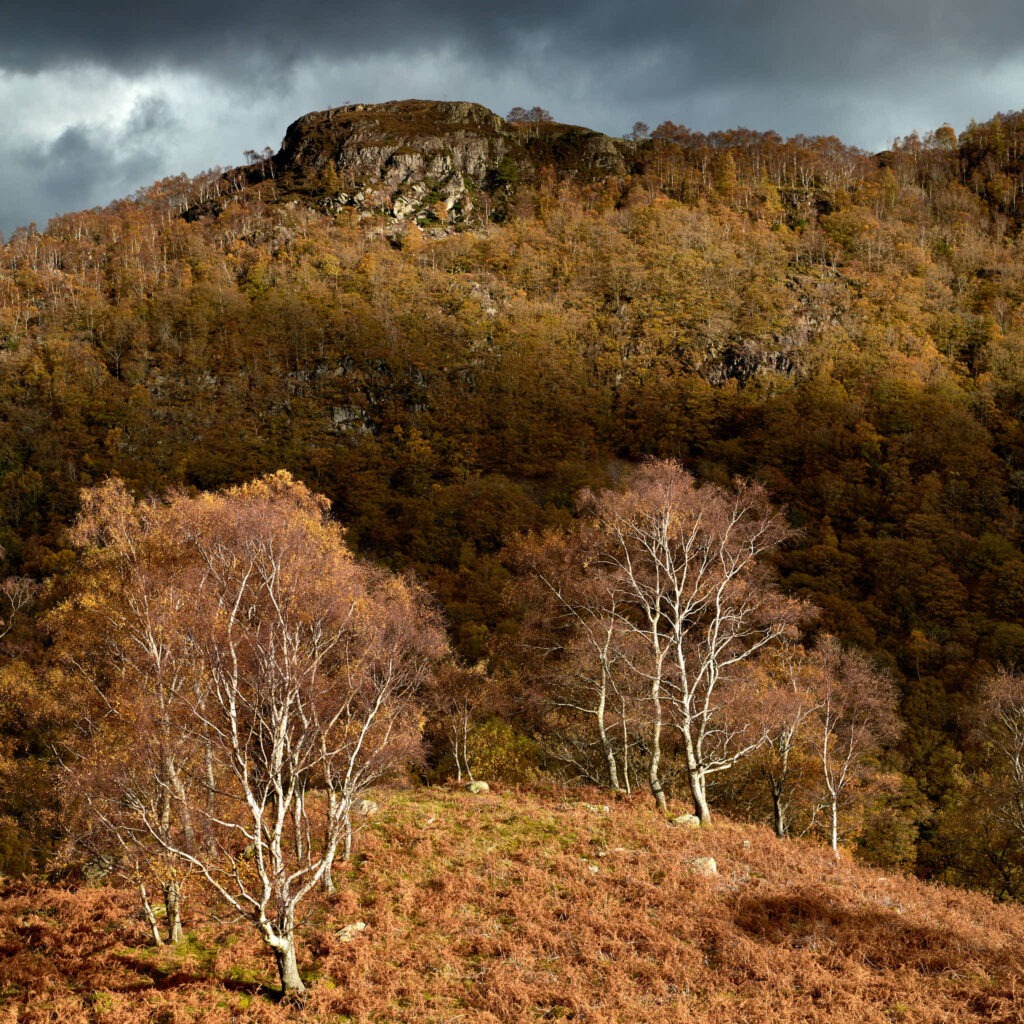Borrowdale Autumn No. 2