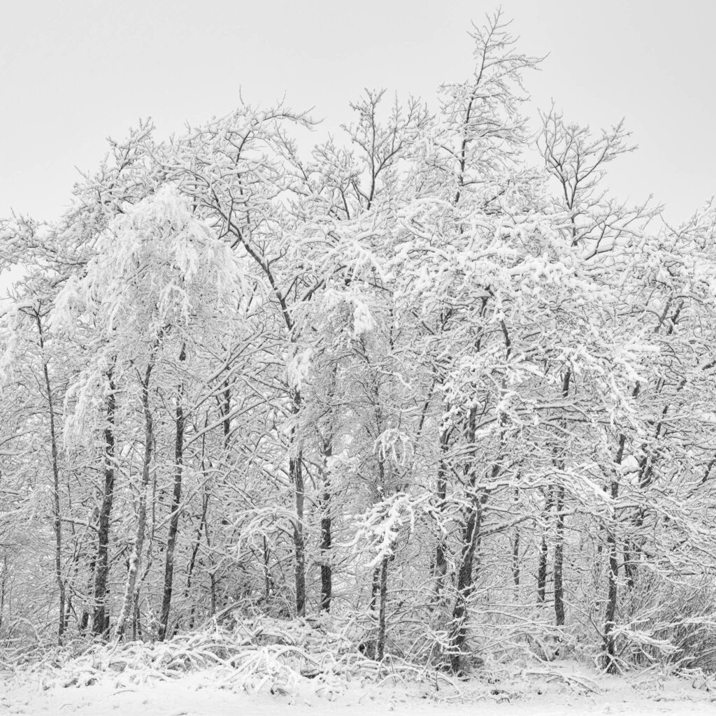 Fresh snow in Bridge of Orchy
